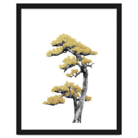 Bonsai Tree 04