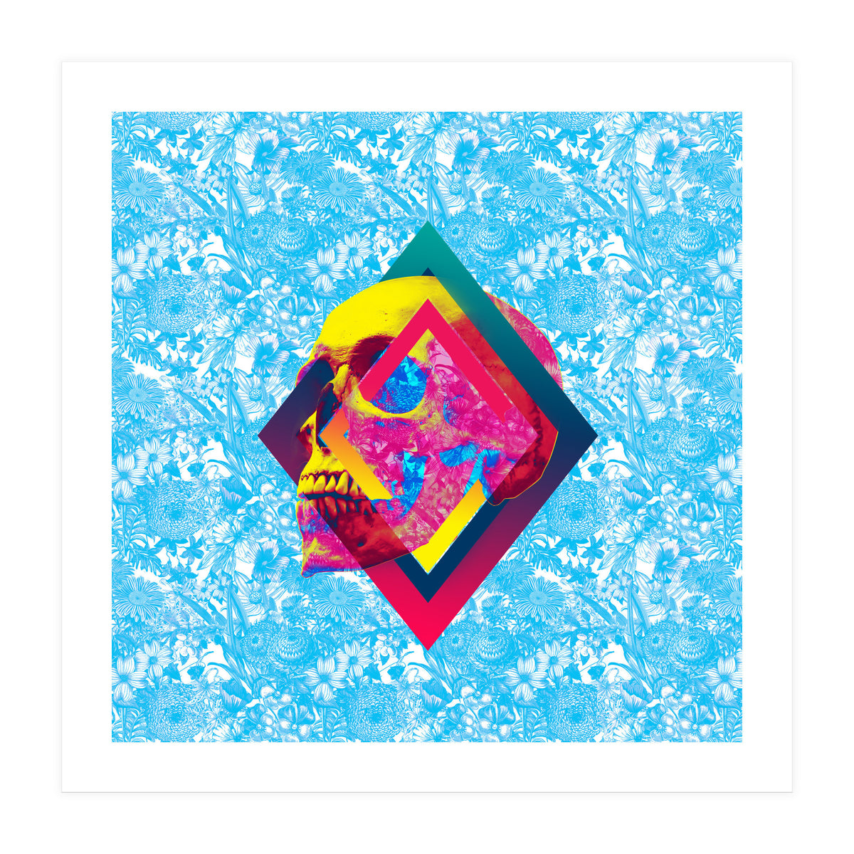 Lifeful Skull  (Print Only)