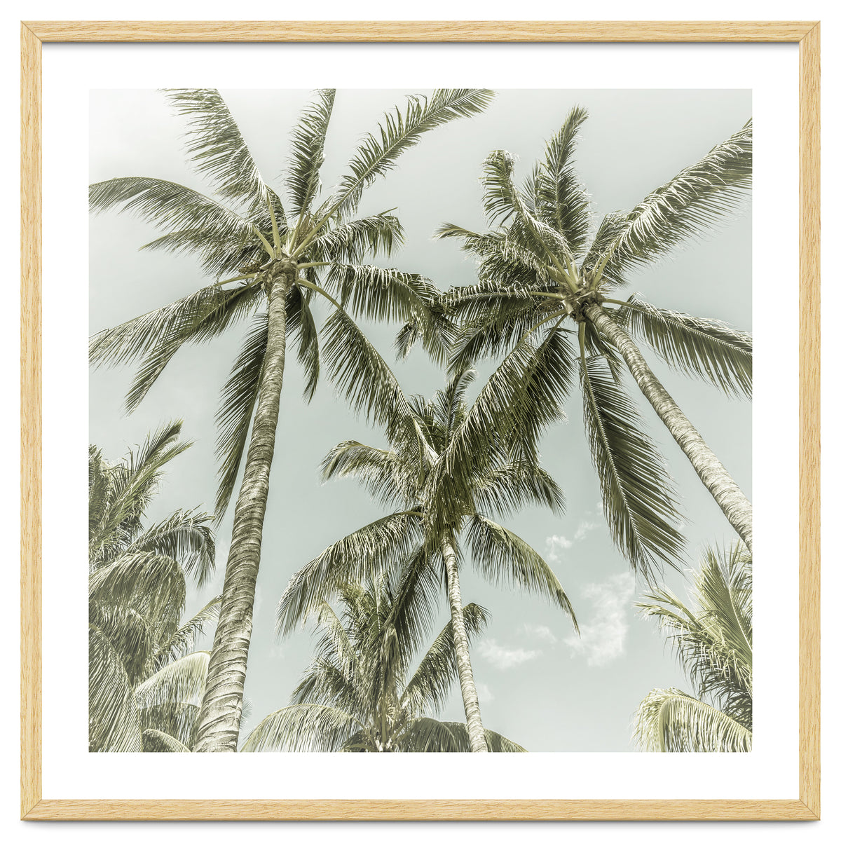 Lovely Palm Trees | Vintage