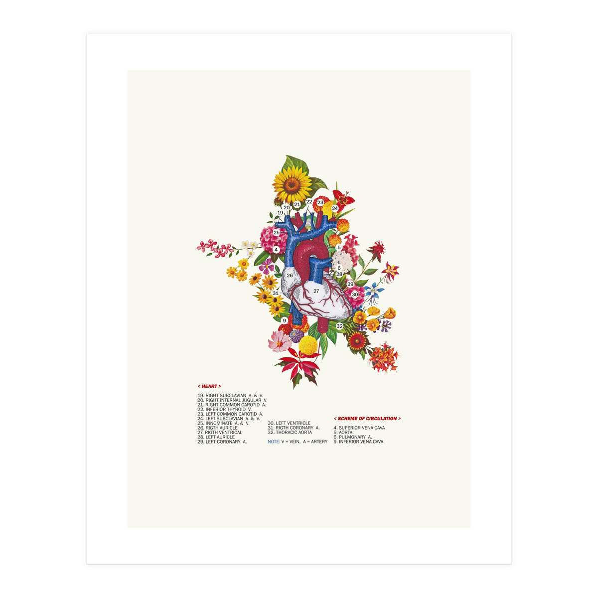 Blooming Heart (Print Only)
