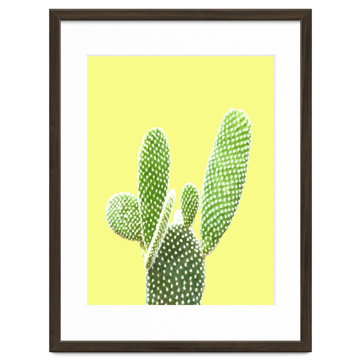Cactus Yellow Background
