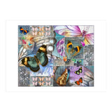 Butterfly Wings Collage (Print Only) thumbnail