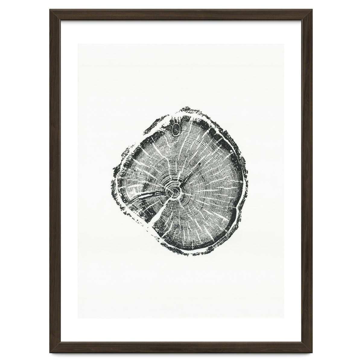Tree Ring Print, Albion Basin, Utah, Pine Tree Print