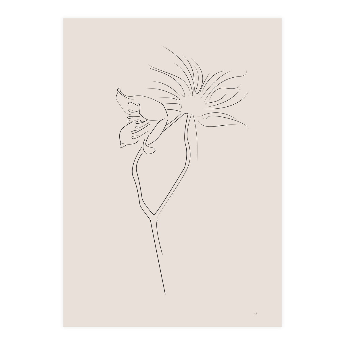 Flower 01 (Print Only)