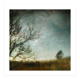The Tree That Whispered (Print Only) thumbnail