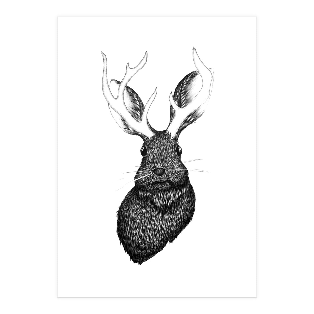 Jackalope  (Print Only)