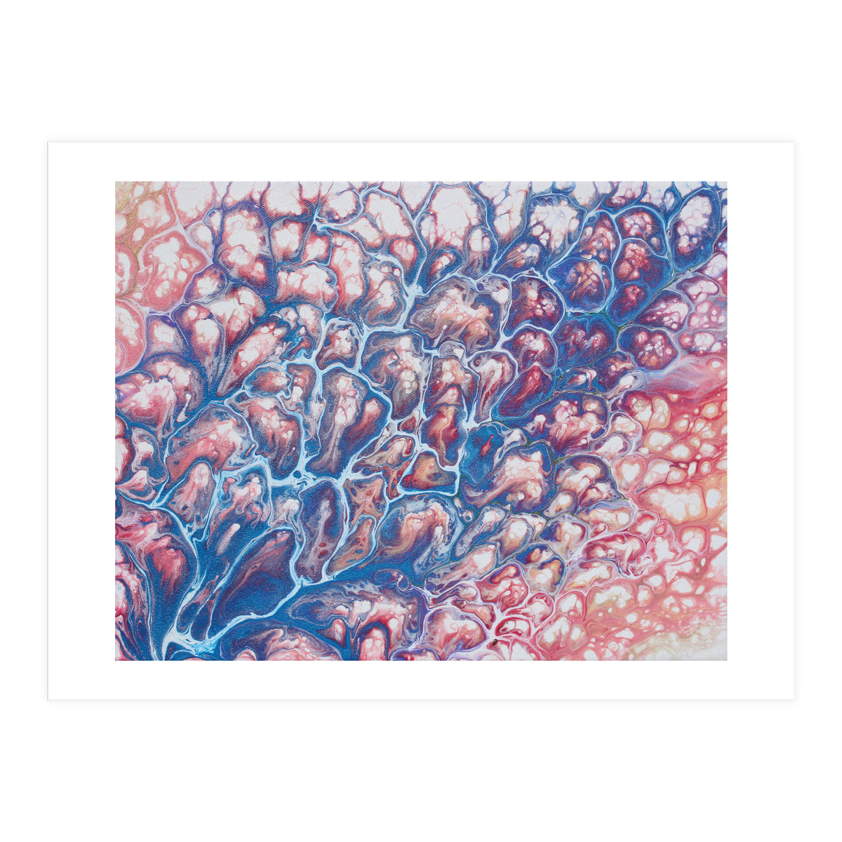 Coral Sea (Print Only)