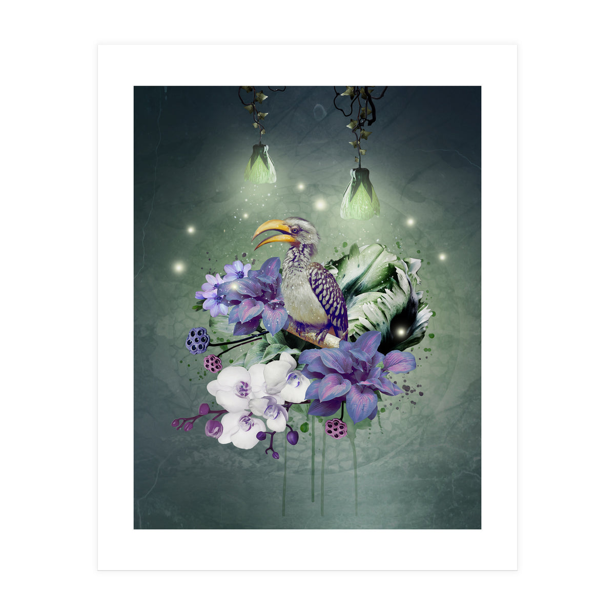 Floral Magic Hornbill  (Print Only)