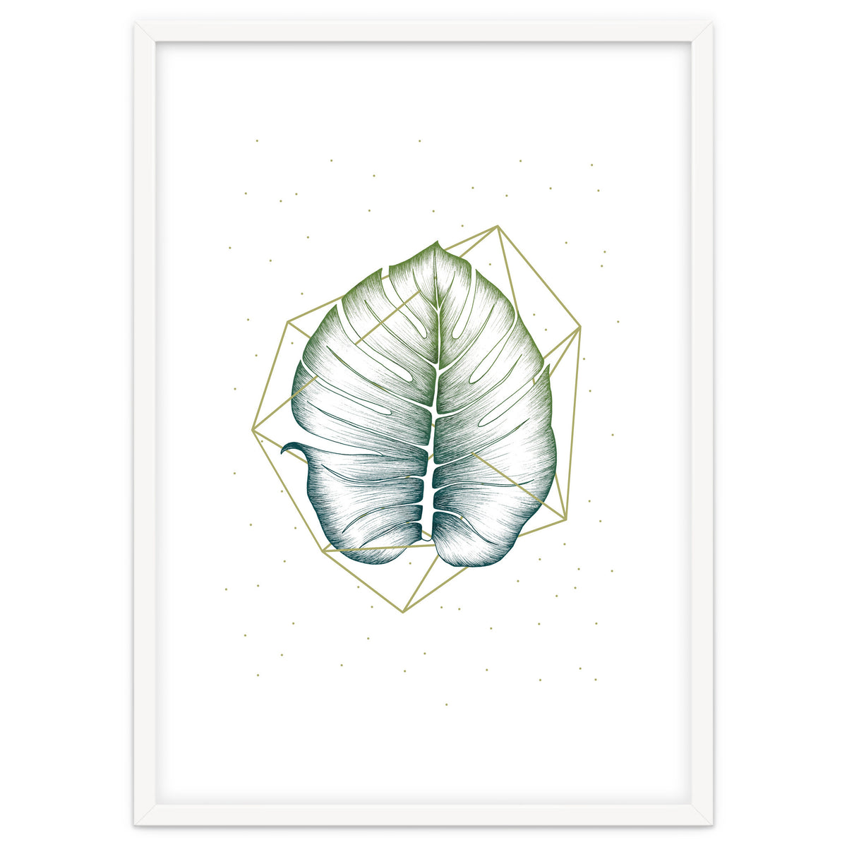 Geometry And Nature II