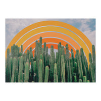 Cactus And Rainbow (Print Only)